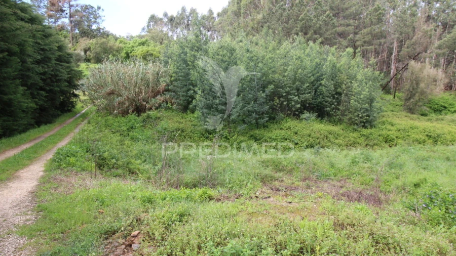 Terreno para Venda em Ferreira do Zezere
