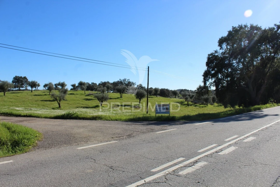Terreno para Venda em Redondo Foto 6