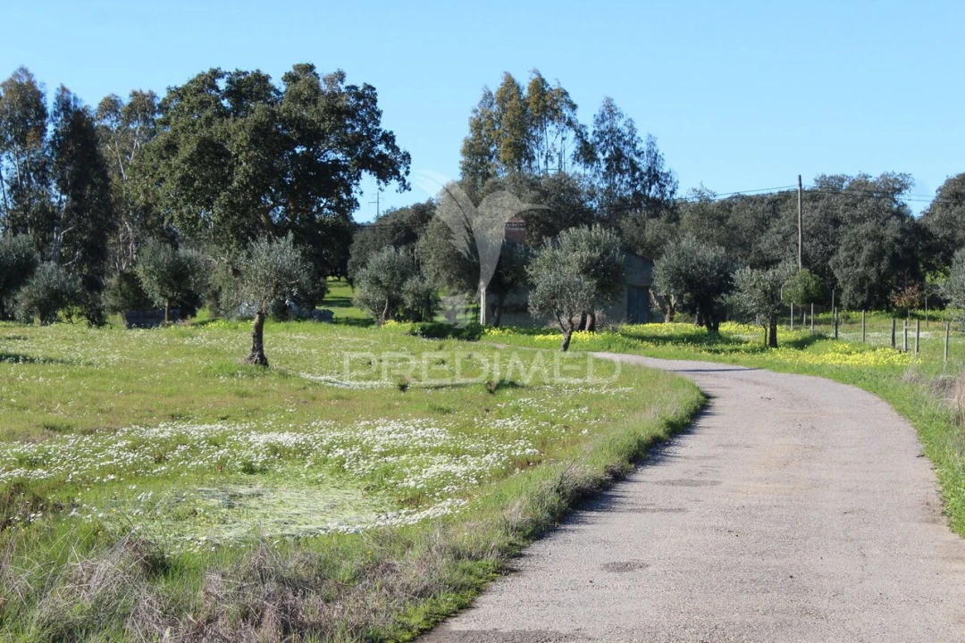 Terreno para Venda em Redondo Foto 14