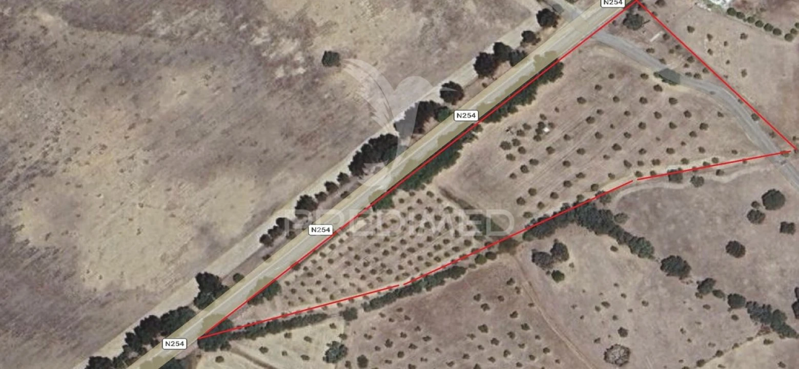 Terreno para Venda em Redondo Foto 2