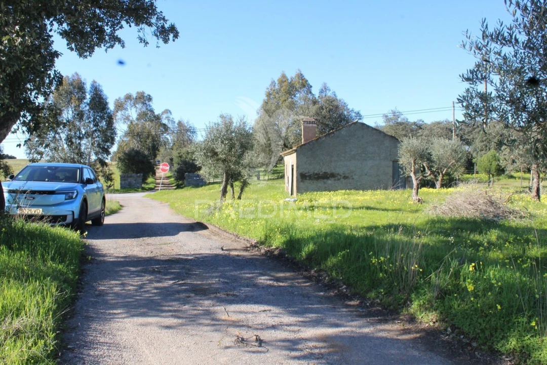 Terreno para Venda em Redondo Foto 22