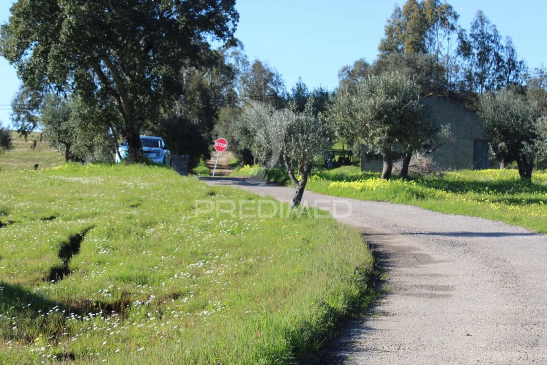 Terreno para Venda em Redondo Foto 21