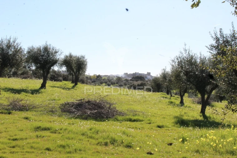 Terreno para Venda em Redondo Foto 23