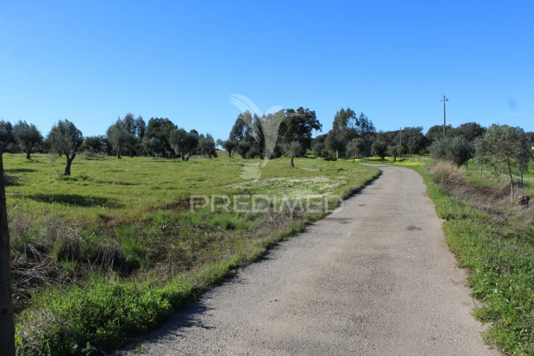 Terreno para Venda em Redondo Foto 15
