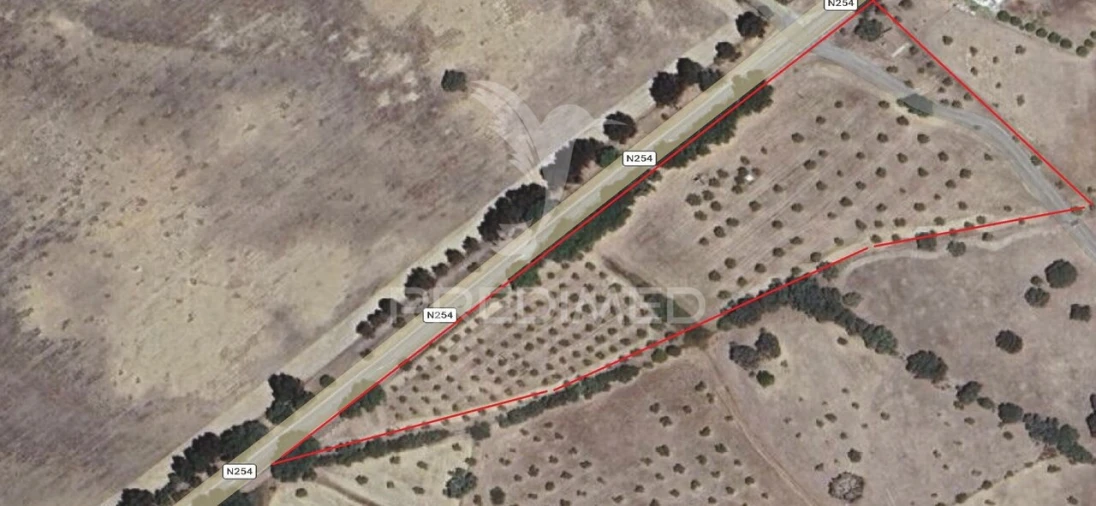 Terreno para Venda em Redondo Foto 2