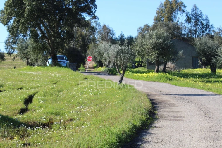 Terreno para Venda em Redondo Foto 21