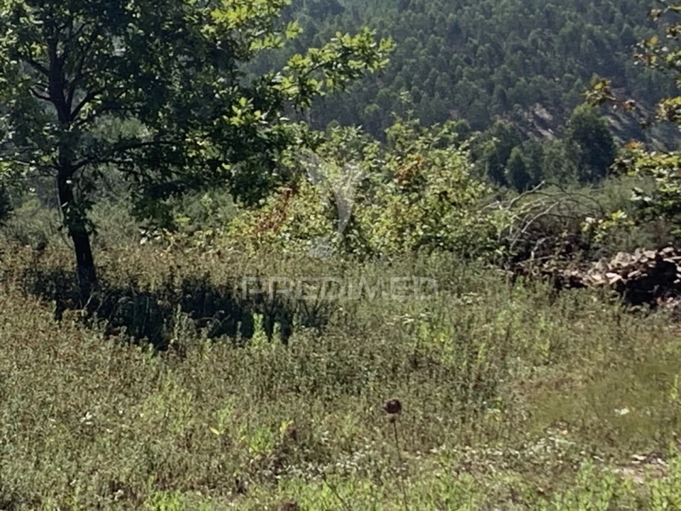 Terreno para Venda em Covelas Foto 4