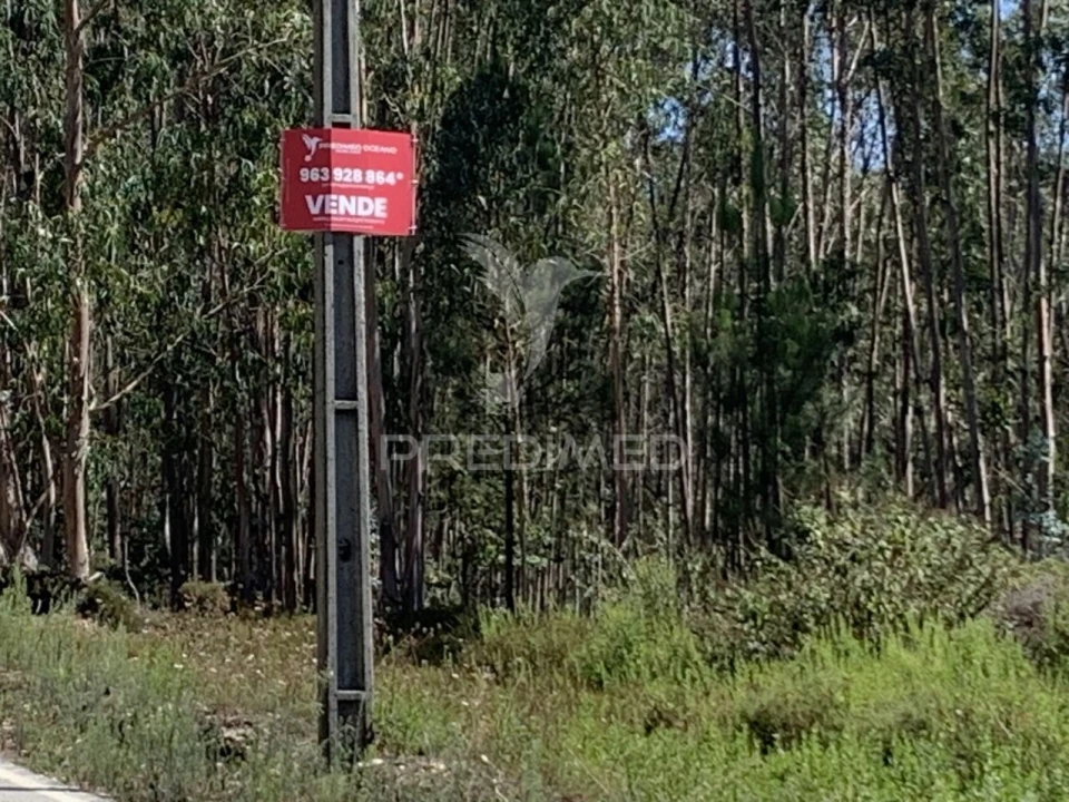 Terreno para Venda em Covelas Foto 7