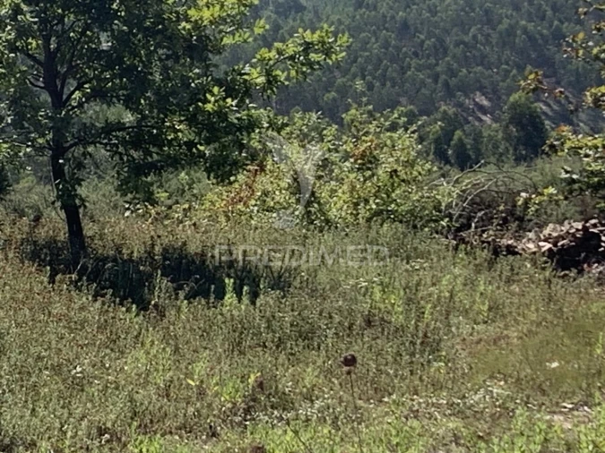 Terreno para Venda em Covelas Foto 4