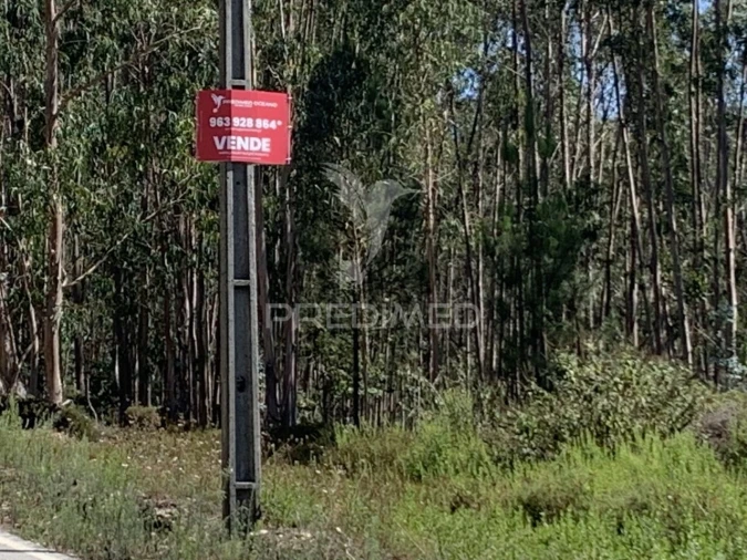 Terreno para Venda em Covelas Foto 7