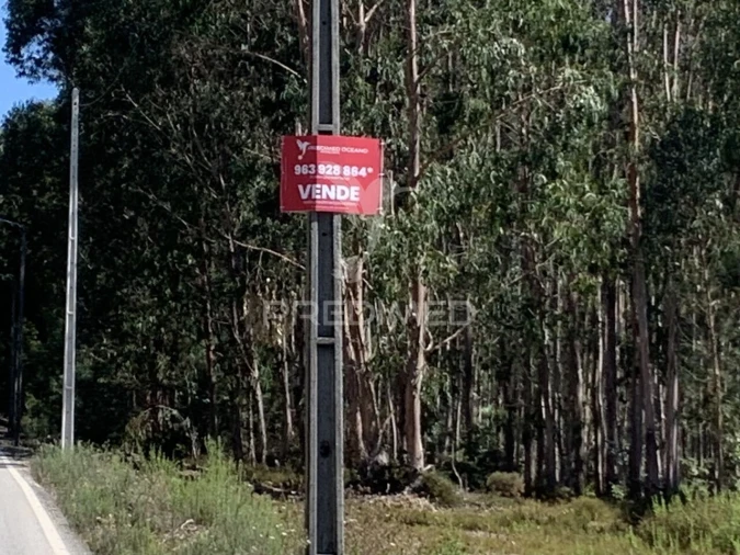 Terreno para Venda em Covelas