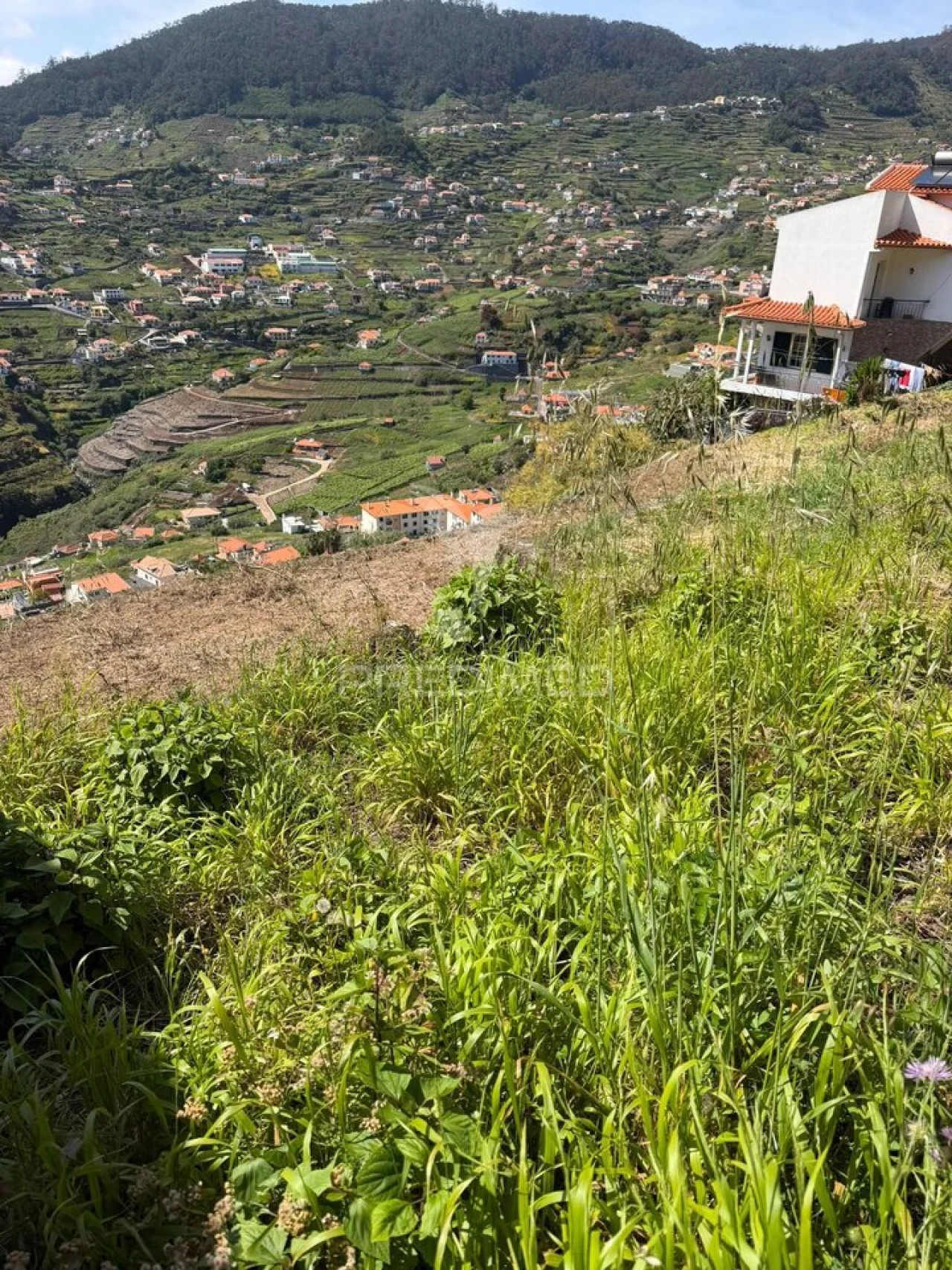 Terreno para Venda em Campanario Foto 21