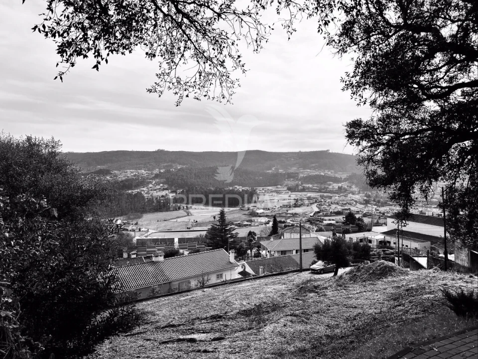 Terreno para Venda em Cruz Foto 4