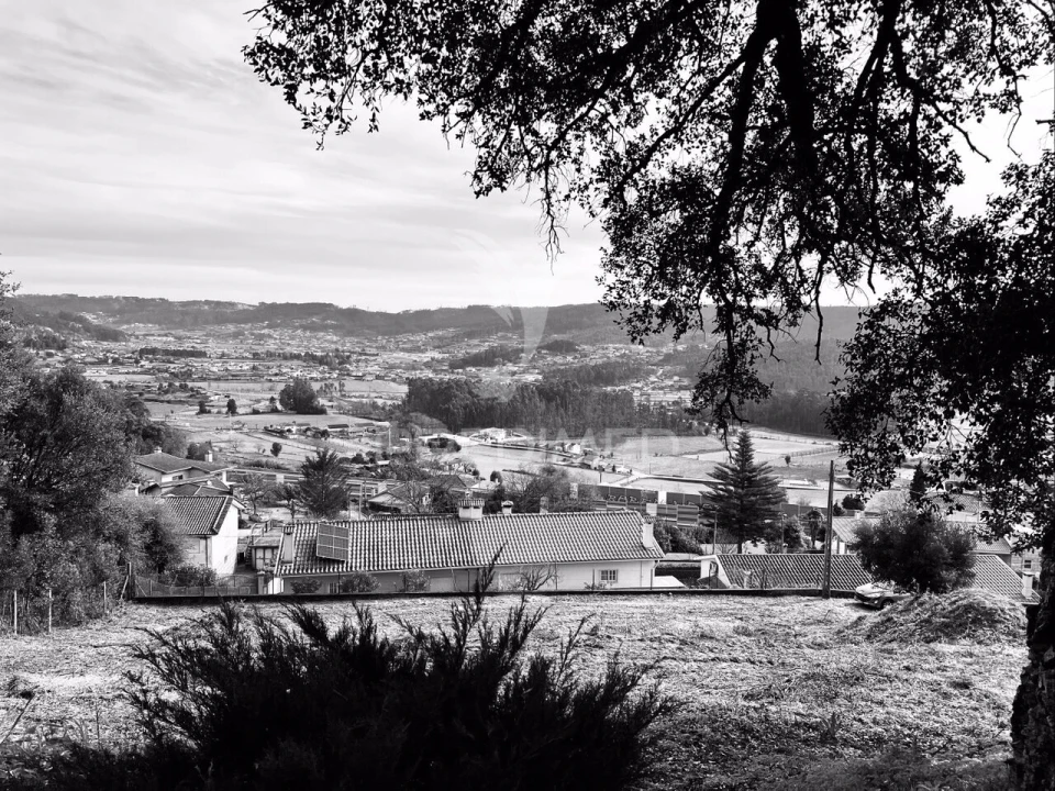 Terreno para Venda em Cruz Foto 1