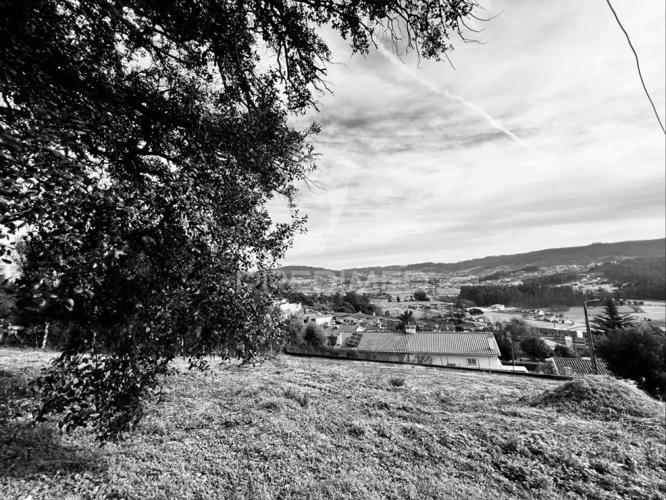 Terreno para Venda em Cruz Foto 3