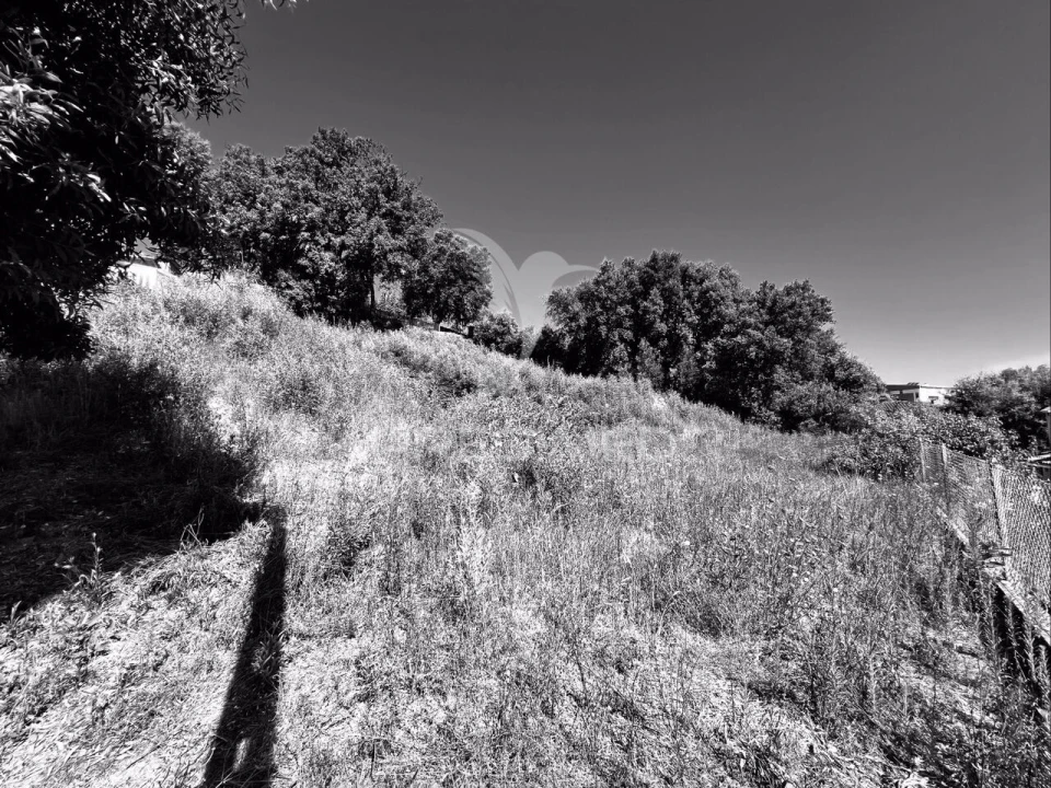 Terreno para Venda em Cruz Foto 5