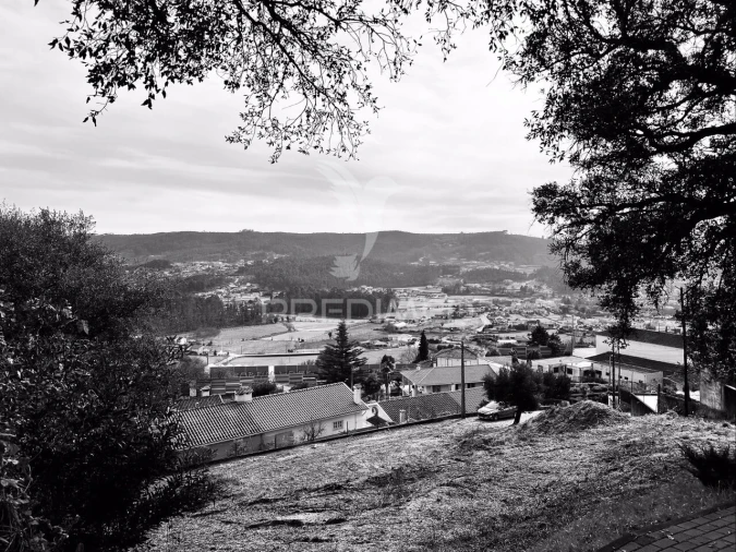 Terreno para Venda em Cruz Foto 4