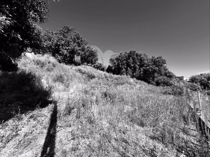 Terreno para Venda em Cruz Foto 5