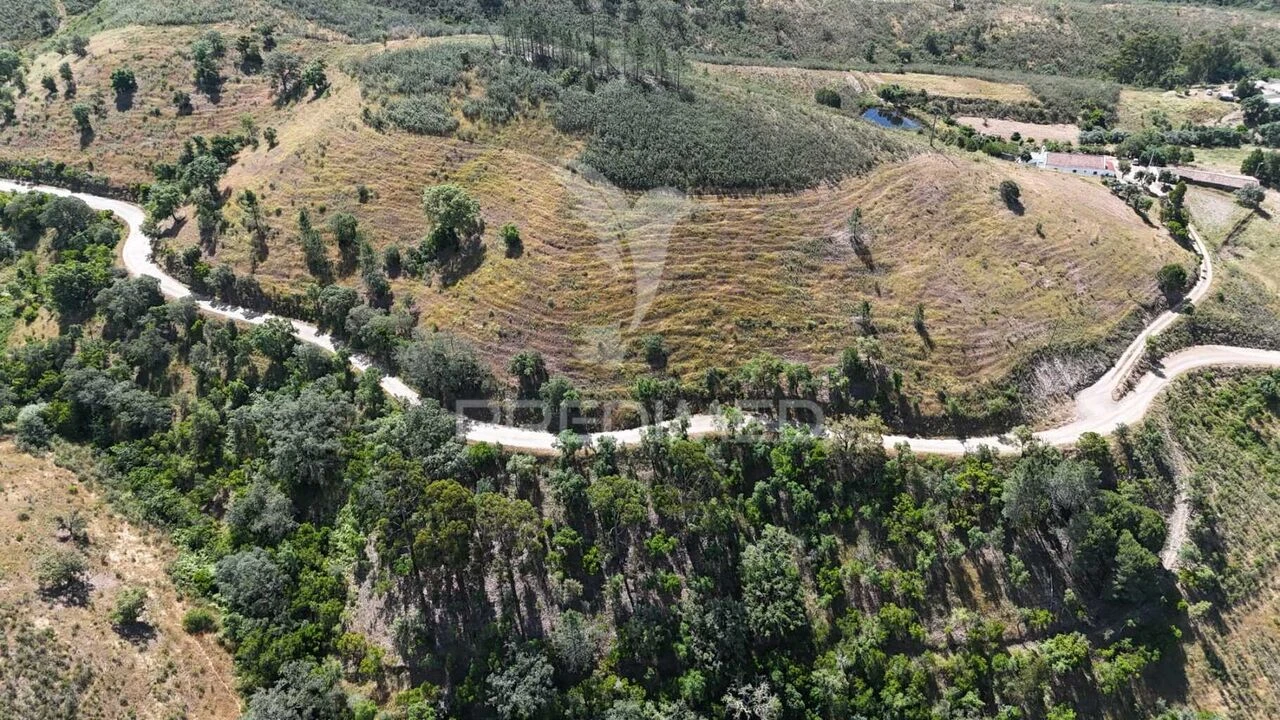 Terreno para Venda em Santana da Serra Foto 9