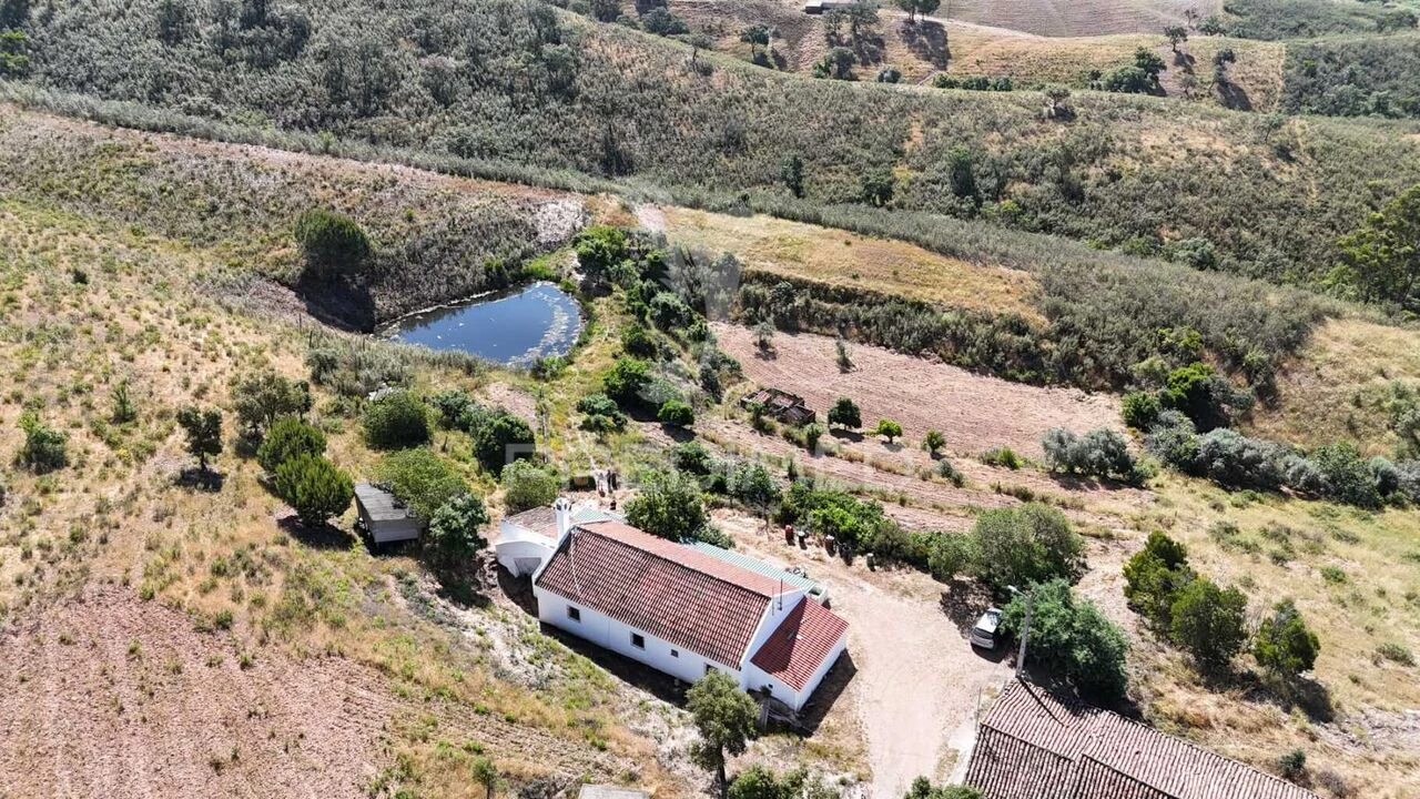 Terreno para Venda em Santana da Serra Foto 3
