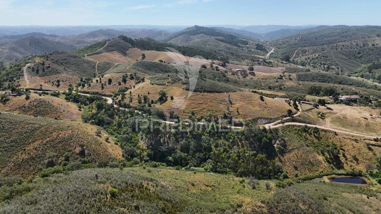 Terreno para Venda em Santana da Serra Foto 7