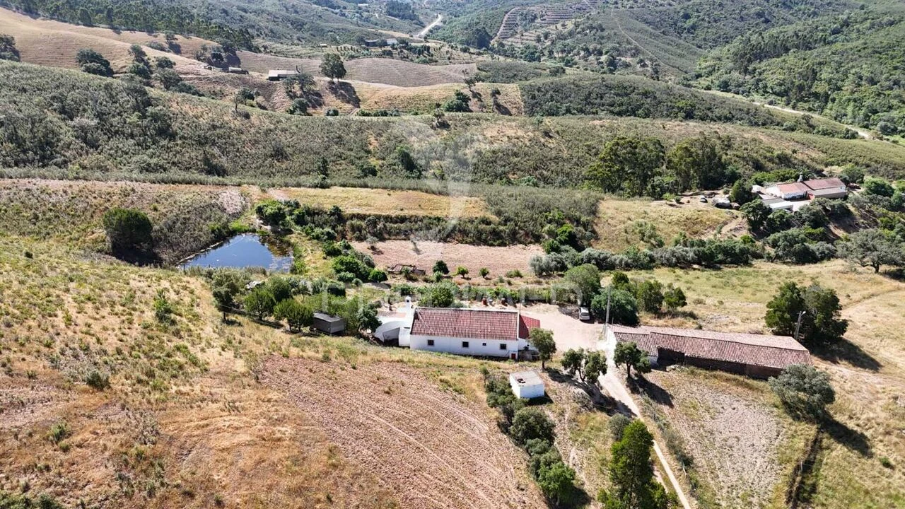 Terreno para Venda em Santana da Serra Foto 2