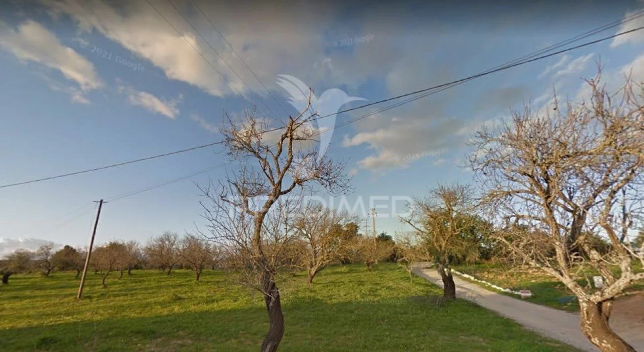 Terreno para Venda em Guia Foto 1