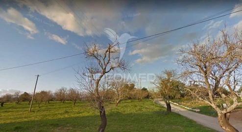 Terreno para Venda em Guia