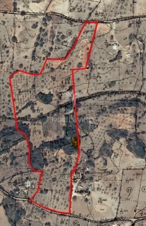 Terreno para Venda em Guia