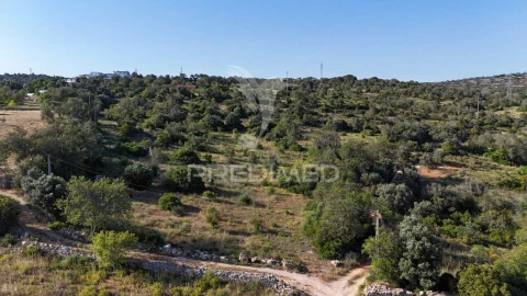 Terreno para Venda em Ferreiras