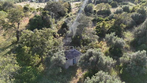 Terreno para Venda em Ferreiras