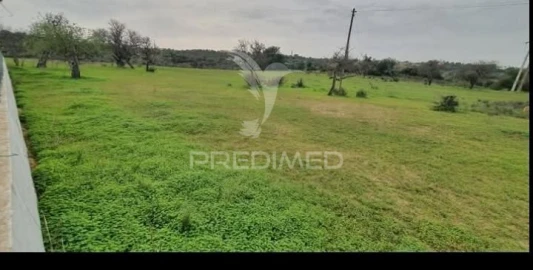 Terreno para Venda em Guia