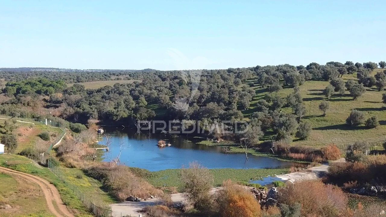 Quinta T7 para Venda em Torrão Foto 3