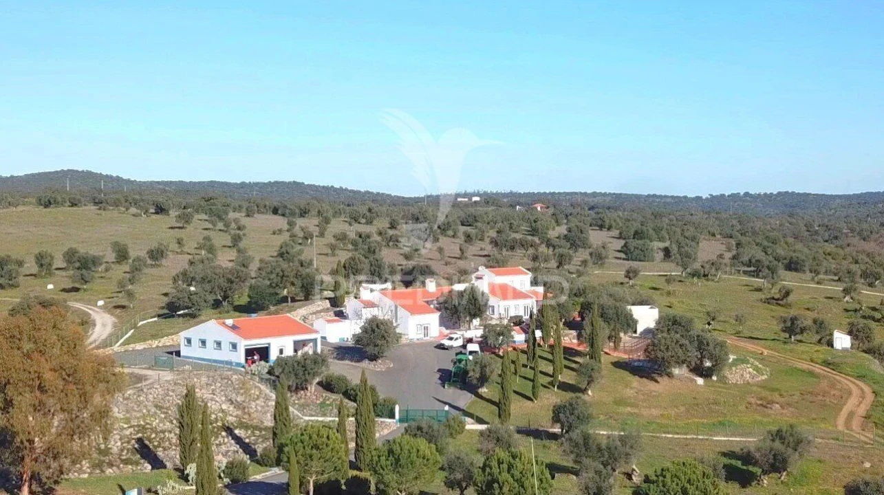 Quinta T7 para Venda em Torrão Foto 1