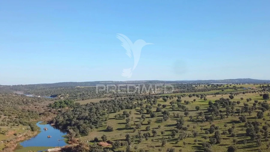 Quinta T7 para Venda em Torrão Foto 4