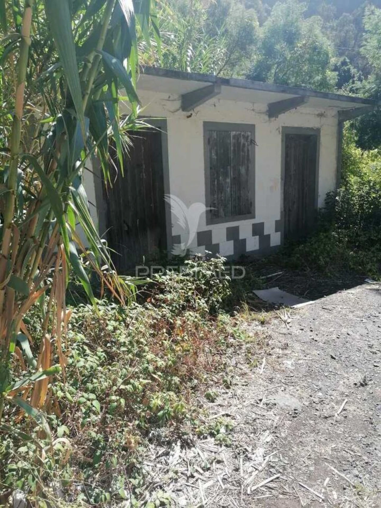 Moradia T1 para Venda em Tabua Foto 2