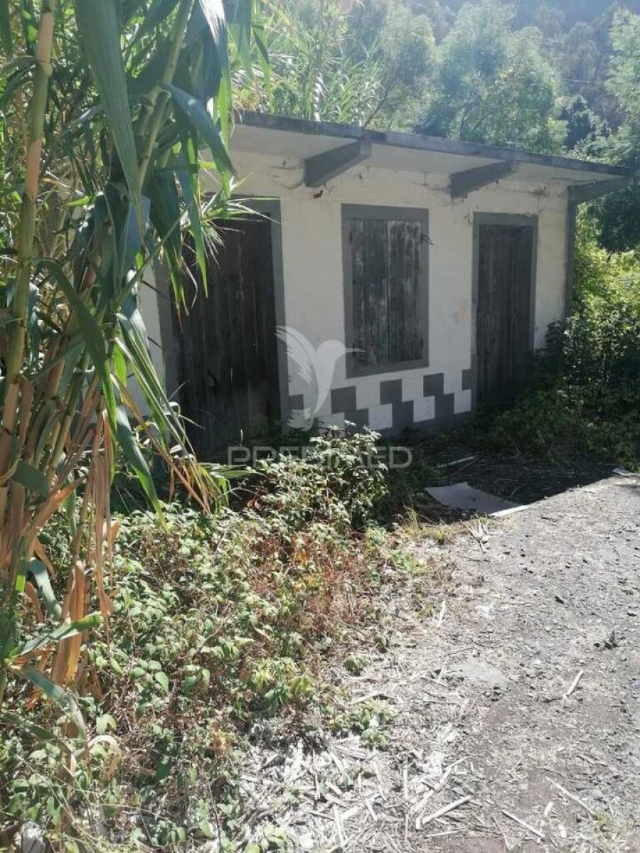 Moradia T1 para Venda em Tabua Foto 2