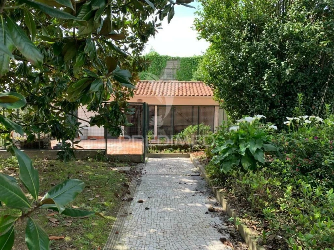 Moradia T4 para Venda em Gavião Foto 6