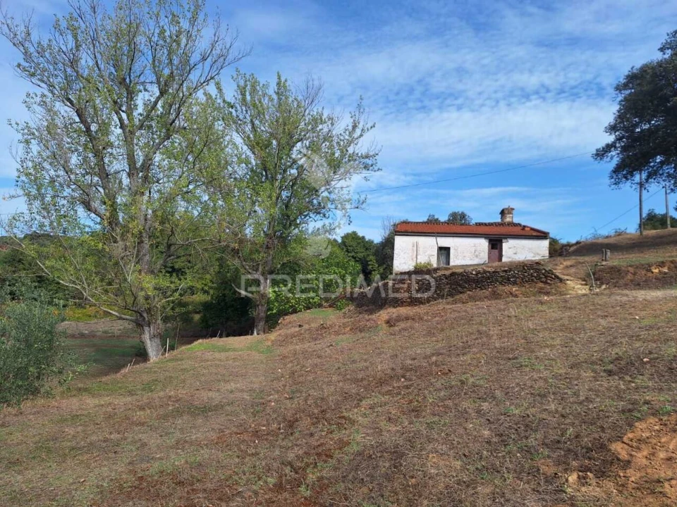 Quinta T1 para Venda em Alegrete Foto 2