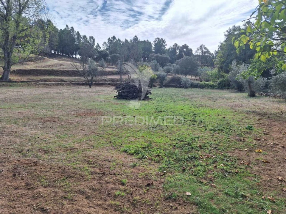 Quinta T1 para Venda em Alegrete Foto 9