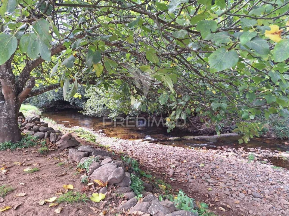 Quinta T1 para Venda em Alegrete Foto 5