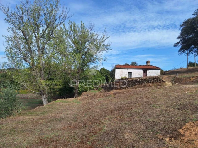 Quinta T1 para Venda em Alegrete Foto 2