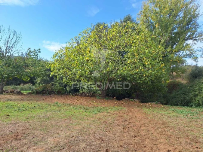 Quinta T1 para Venda em Alegrete Foto 6