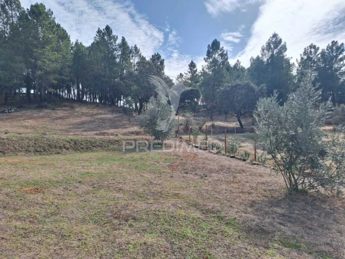 Quinta T1 para Venda em Alegrete Foto 8