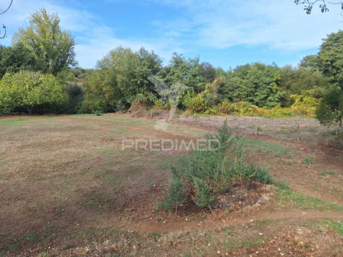 Quinta T1 para Venda em Alegrete Foto 10