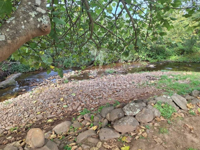 Quinta T1 para Venda em Alegrete Foto 4