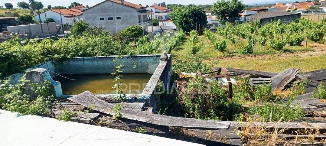 Armazém para Venda em Alagoa Foto 24