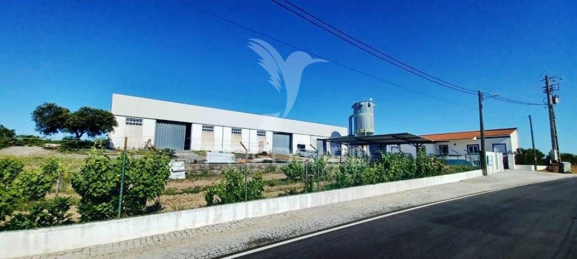 Armazém para Venda em Alagoa Foto 2