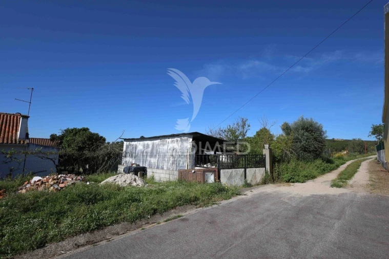 Terreno para Venda em Tancos Foto 5