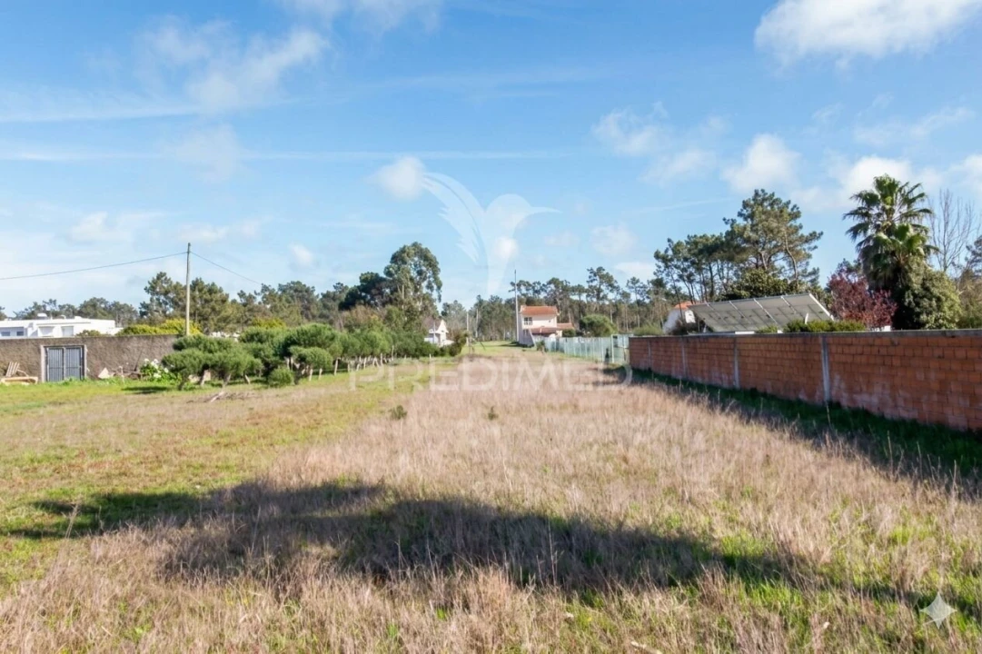 Terreno para Venda em Gafanha da Encarnação Foto 4